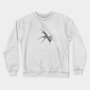 Carpenter Ant Crewneck Sweatshirt